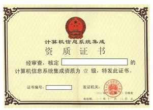 系統(tǒng)集成一級資質(zhì)標(biāo)準(zhǔn)下的軟件開發(fā)業(yè)績要求